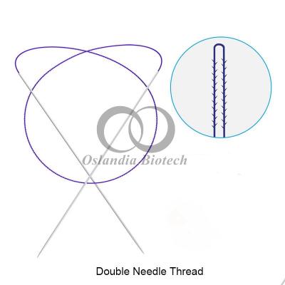China Dermabelle Lift DOP 4D COG hilo doble agujas afiladas levantamiento de cejas sutura de polidioxanona absorbible para la piel 5pcs/bolsa en venta