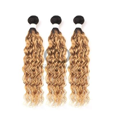 China #T1B/27 Ola de agua Remy Hacer paquetes de pelo humano Coser en tejido paquetes paquetes brasileños en venta