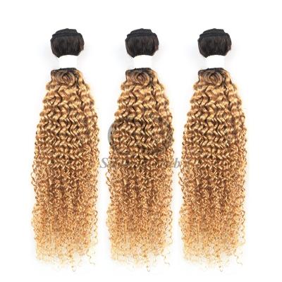 China #T1B/27 Pervertido rizado Remy Ramos de cabello humano Coser en tejido Ramos de paquetes brasileños en venta