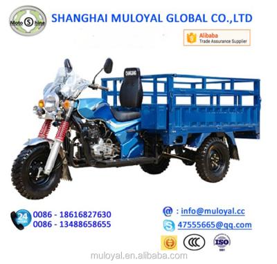 China M250ZH-BG China Cargo Trike Open Cabin Trike Cargo 3 Wheeler Tricycle for sale