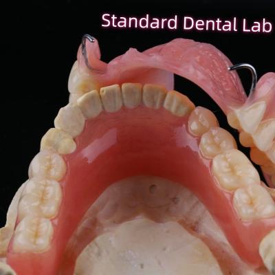 Cina Restituzioni dentali rimovibili denti parziali acrilici con chiusure di filo in vendita