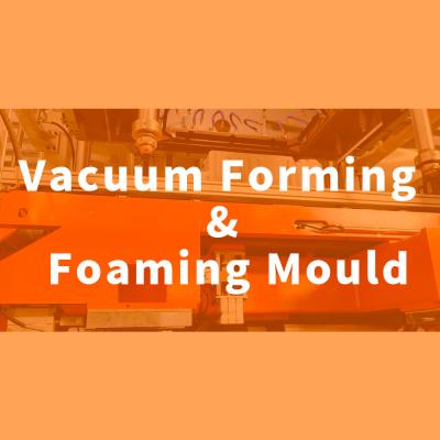 China Formação de vácuo e molde de espuma à venda
