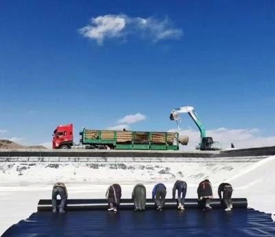 China Engineered for Safety: High-Performance HDPE Geomembrane Solutions for Tailings Pond Containment & Environmental Protection for sale