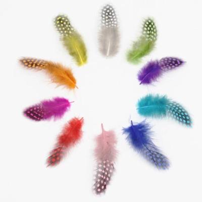 China Diy Craft Factory Wholesale 6-12cm High Quality Child DIY Colorful Craft Feather For Decoration Accessories Guinea Fowl Feather for sale