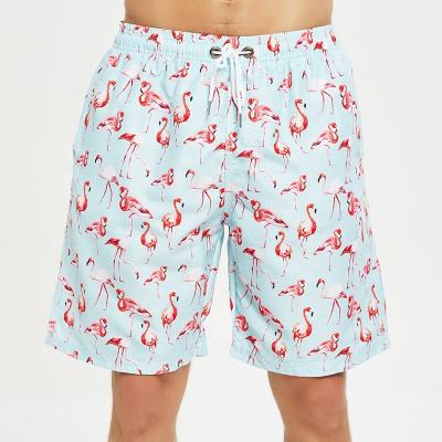 China Swim Trunk Anti-UV Fierce Bird Beach Pants Quick Dry Men's Big Briefs Shorts WJHLH011 for sale
