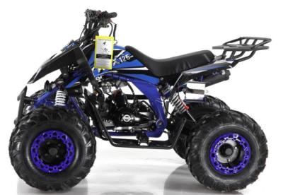 China Lucht Gekoelde Atv 4 de Lengte van Wheeler Motorcycle 125cc 1500mm Te koop