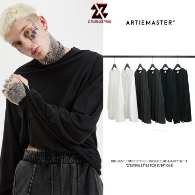China Anti-wrinkle 100% Cotton Oversized Unisex T Shirt Wholesale No Label T Shirts Heavyweight Streetwear Long Sleeve for sale