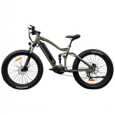China SL-0916265 KIDS EDITION 48V 25AH 17