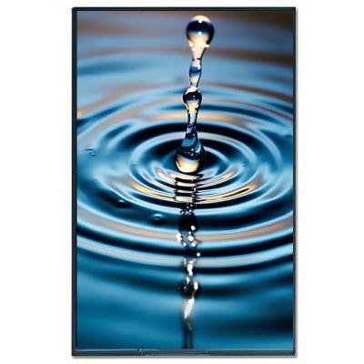 Chine MIPI Affichage TFT de 10,1 pouces 800*1280 IPS Affichage TFT haute résolution à vendre