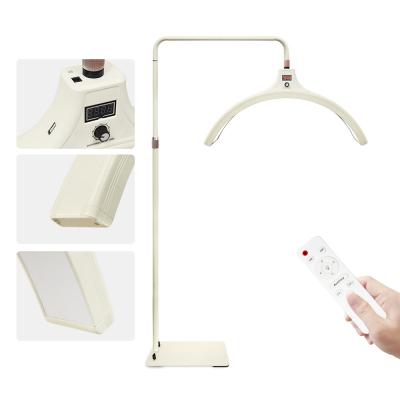 China 60 Watt Led Half Moon Light 6500k Lash Lights With Phone Holder Dimmable Fill Lamp For Nail Studio en venta
