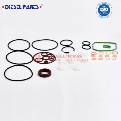 China vp44 injection pump repair kit for sale for sale