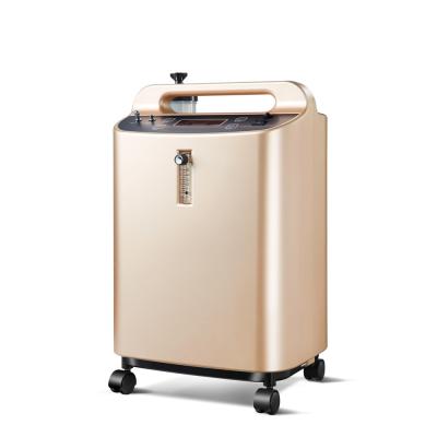 Chine Concentrateur de l'oxygène du ménage 10L 110V 60HZ avec le compresseur exempt d'huile à vendre