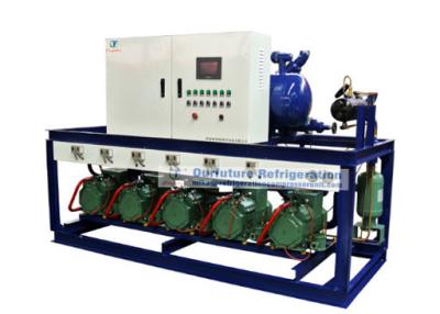 China R404a piston type refrigeartion compressor unit for 2℃ fruit cold storage for sale