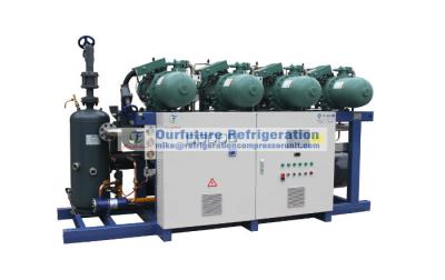 China Cold Room Screw Compressor Unit For Fuit And Vegetable, R404a, Compressor for sale