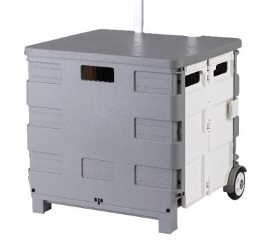 China Small Collapsible Food Cart Supermarket Seat Climbing Climbing Luggage Carts Foldable Shopping Trolleys 2 Plastic Wheels 40*33*38cm 2.8 Kg for sale