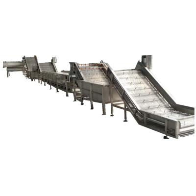 China Raw Mango No Concentrate Pulp Processing Machine Extracting And Processing Machine for sale
