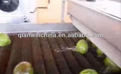 China Young Coconut Washing Machine With ISO Certification 3.75KW Fruit Industrial Washing Machine Te koop