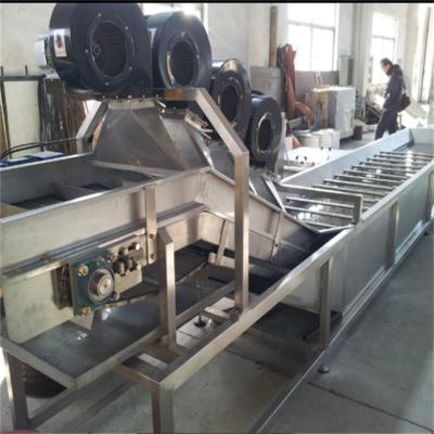 China Industrial Roller Conveyor Fruit Vegetables Bubble Cleaning Washing Roller Conveyor for sale