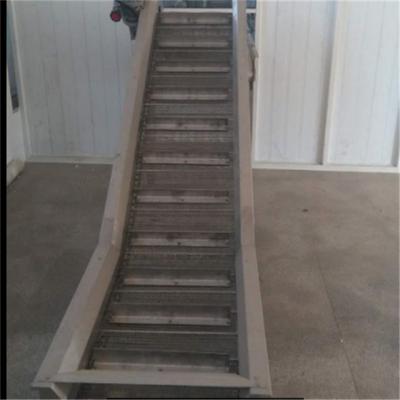 China Industrial Fruit Sorting Conveyor Stainless Steel 5000*2000*2500mm for sale