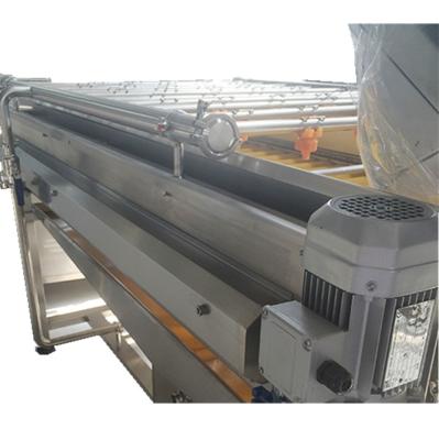 China Fruit Apple Apricot Brush Washer With Water Spray 800kg With Continuous Work for sale