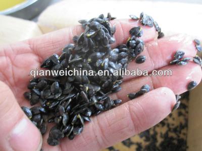 China Seed Removing Passion Fruit Process Machine 2.2kw Power 380v Voltage for sale
