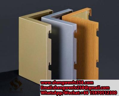 Cina Modern Building Clading Decoration Aluminum Veneer for Facade Wall in vendita