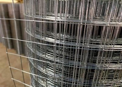 Cina Rotolo di maglia dello schermo del metallo del filo galvanizzato da 2,5 mm 4 pollici per la costruzione in vendita