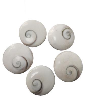 China China Wholesale Natural Shiva Eye Shell StoneCircles and Ellipses Shaped Jewelry for Making Pendants for sale