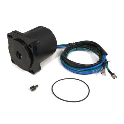 China 50-225 HP for OMC Evinrude Johnson outboard LH 10816 Tilt Trim Motor for OMC Evinrude Johnson Outboard Engine 50-225HP 91-01 6241 0434495 0434496 0438529 0438531 434495 for sale