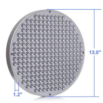 中国 エピスター LED チップ 50W 温室 LED 成長ライト 制御環境農業 販売のため