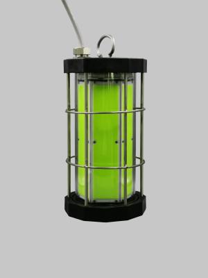 Cina 3000W COB LED luci da pesca, Florida Deep Sea luci da pesca impermeabili per le barche da pesca in vendita