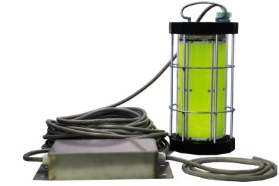 Cina AC200-265V Luci subacquee per la pesca notturna in acque profonde e per le trappole per granchi e aragoste in vendita