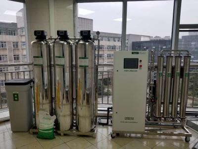 China 500 Liters Per Hour Double Pass RO System Two Stages Ro Water Treatment System for sale