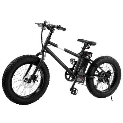 China Aluminum Alloy Electric Bike Fat Tire Bike 4 Tires, 20 Wheels, 7Speed Disc Brakes for sale