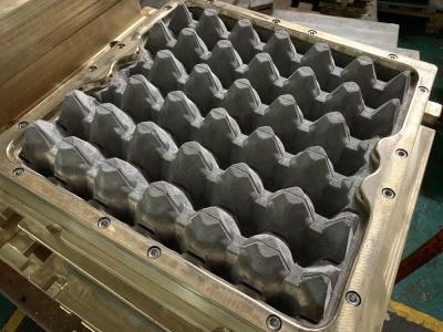 China Huevo plástico de cobre amarillo Tray Mold del OEM 30 del molde de la pulpa en venta