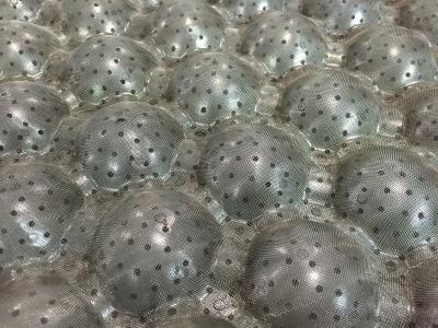 Китай Подгоняйте инструмент 800X660mm подноса плода прессформы пульпы алюминиевый продается