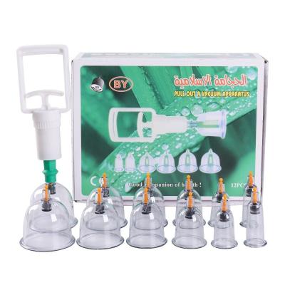 China Whole body Wholesale 12 Cans Chinese Medical Vacuum Body Cupping Therapy Device Physical Therapy Body Massager Set for sale