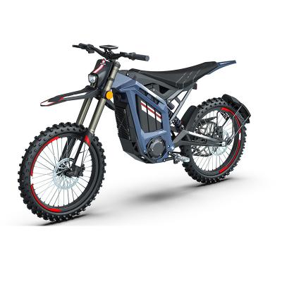 Cina 2024 Moto elettrica Off-road Dirt Bike Moto posteriore 19 pollici pneumatico NO pieghevole in vendita