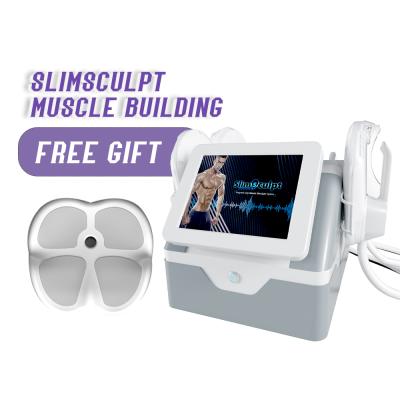 China Portable Fat Weight Loss 13 Tesla High Frequency Slimsculpt Removal For Muscle Building And Fat Burning Muscle Stimulator Machine for sale