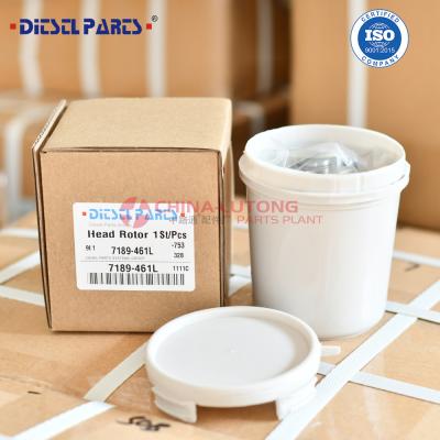 China 7189-461L Wholesale New Diesel Fuel Pump Head Rotor 7189-461L with Rotor 018L 3/7R Factory direct sale high quality diesel DPT pump head rotor 7189-461L 7189461L for sale