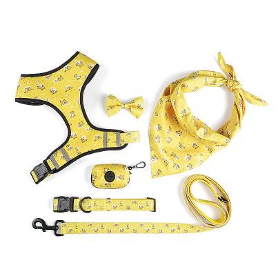 China Custom Classic Personalized Competitive Nylon Dog Pet Collar With Plastic Buckle From Pet Products Manufacturer for sale