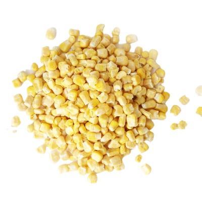 China FD Dry Corn Wholesale Price Freeze Dried Vegetable Benefits for sale