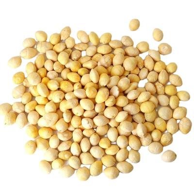 China Factory Wholesale Dried Ginkgo FD Freeze Dried Vegetable Food for sale