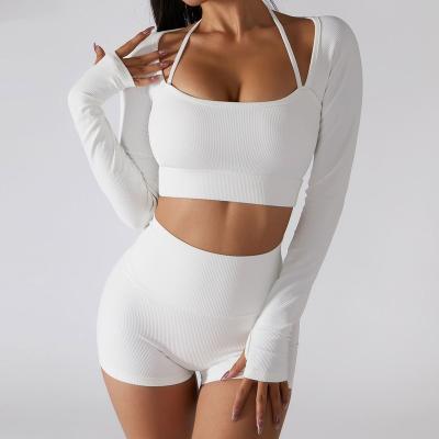 China Breathable 2023 New Seamless Set High Elastic Fitness Long Sleeves Top Biker Outside Gym Sports Shorts Wholesale Breathable Yoga Set for sale