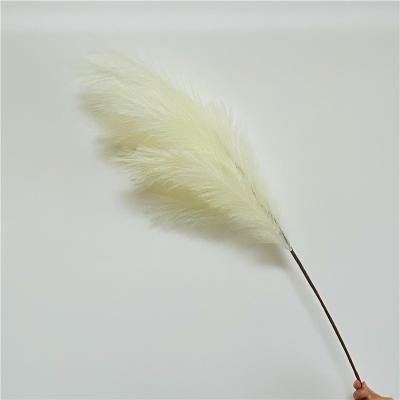China home & party & marry the & store & Wholesale Market Decoration Pampas Grass Small Natural Dry Phragmites Dried Artificial Flowers Reed Grass for sale