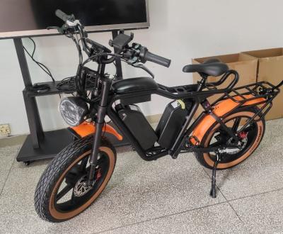 China 48V Doual Motor Fat Tire Bicycle with 48V 22Ah *2 Battery for sale