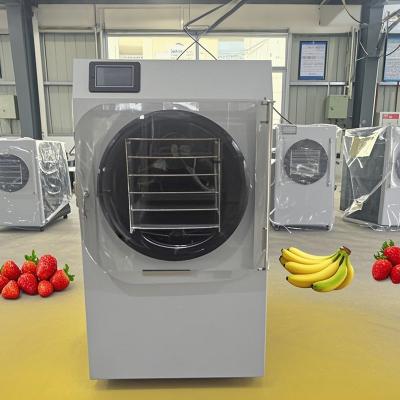 中国 トッチスクリーン制御付きの革新的な小型家庭用食品冷凍乾燥機 販売のため