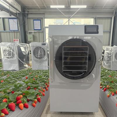 China 6 kg de expertos en I + D de secadores congelados para la producción de lotes pequeños con PLC de pantalla táctil en venta