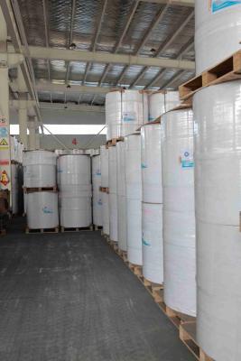 中国 直接熱印刷技術 熱ラベル紙ロール 黒色 イメージ ≥5年 イメージ寿命 簡単なラベル印刷サービス 販売のため
