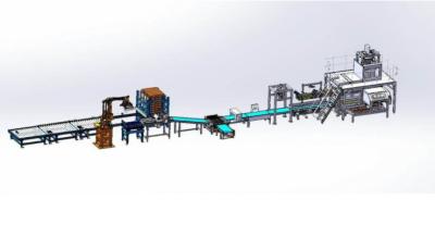Cina Valve Type Bag Automatic Palletizing Machine 25Kg Weighing 300 Bags/H in vendita
